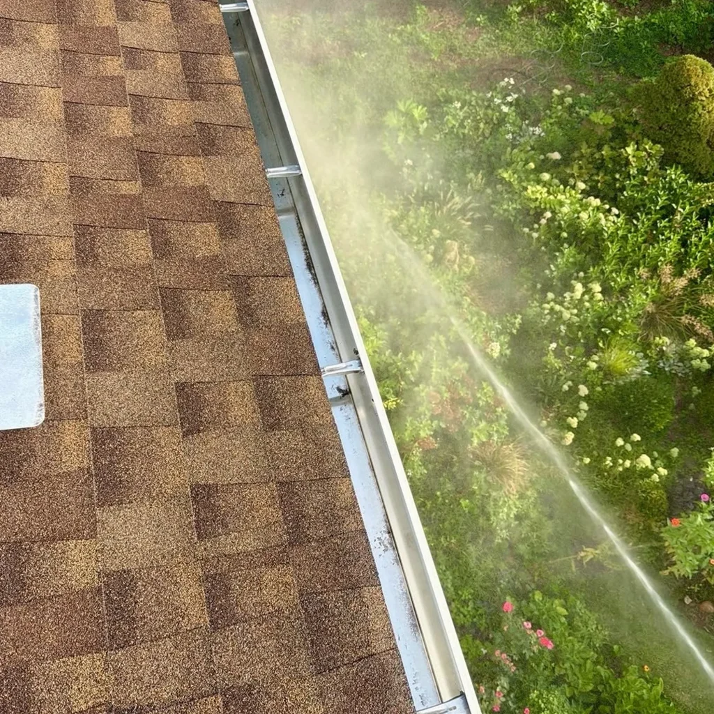roof and gutter cleaning in progress