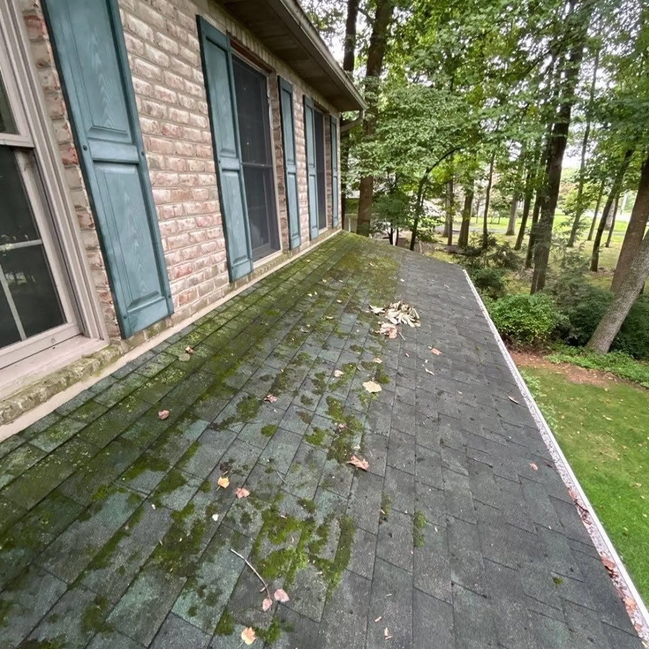 dirty roof with moss and debris