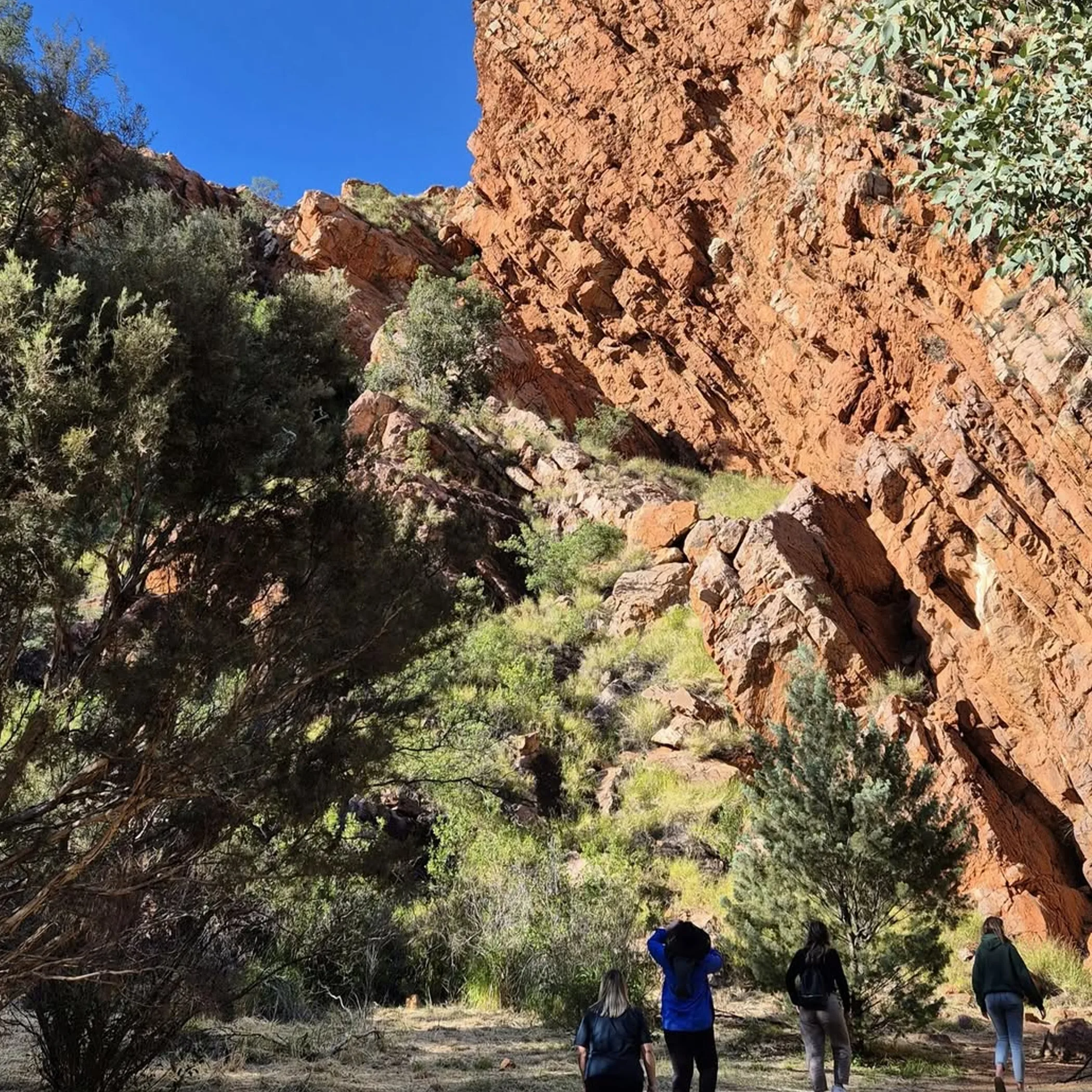 people hiking in outback landscape