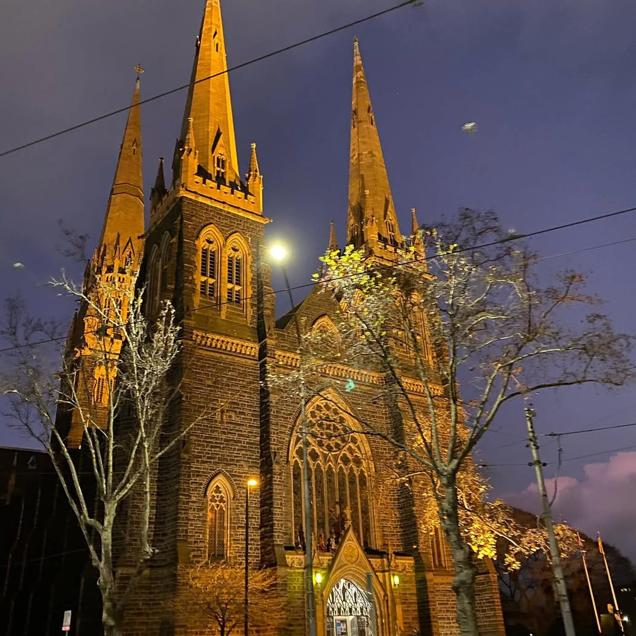 st patrick cathedral melbourne at night