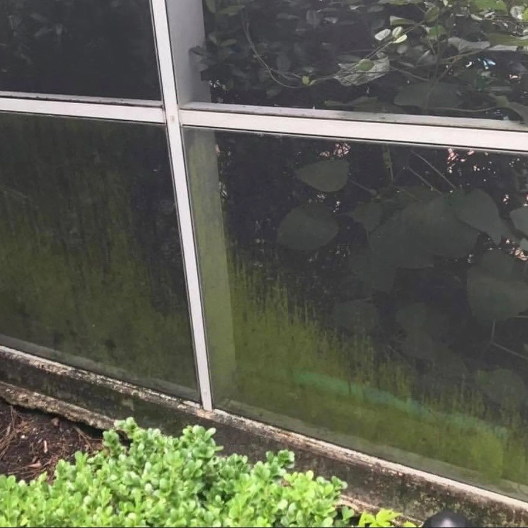 buildup on outdoor screen surface