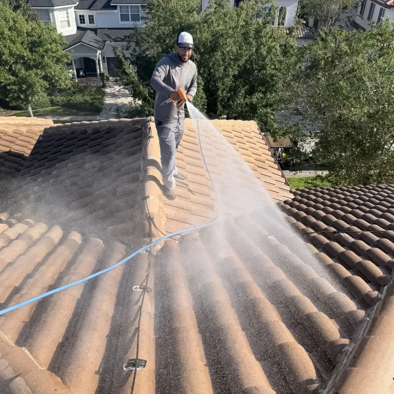 person cleaning residential roof surface