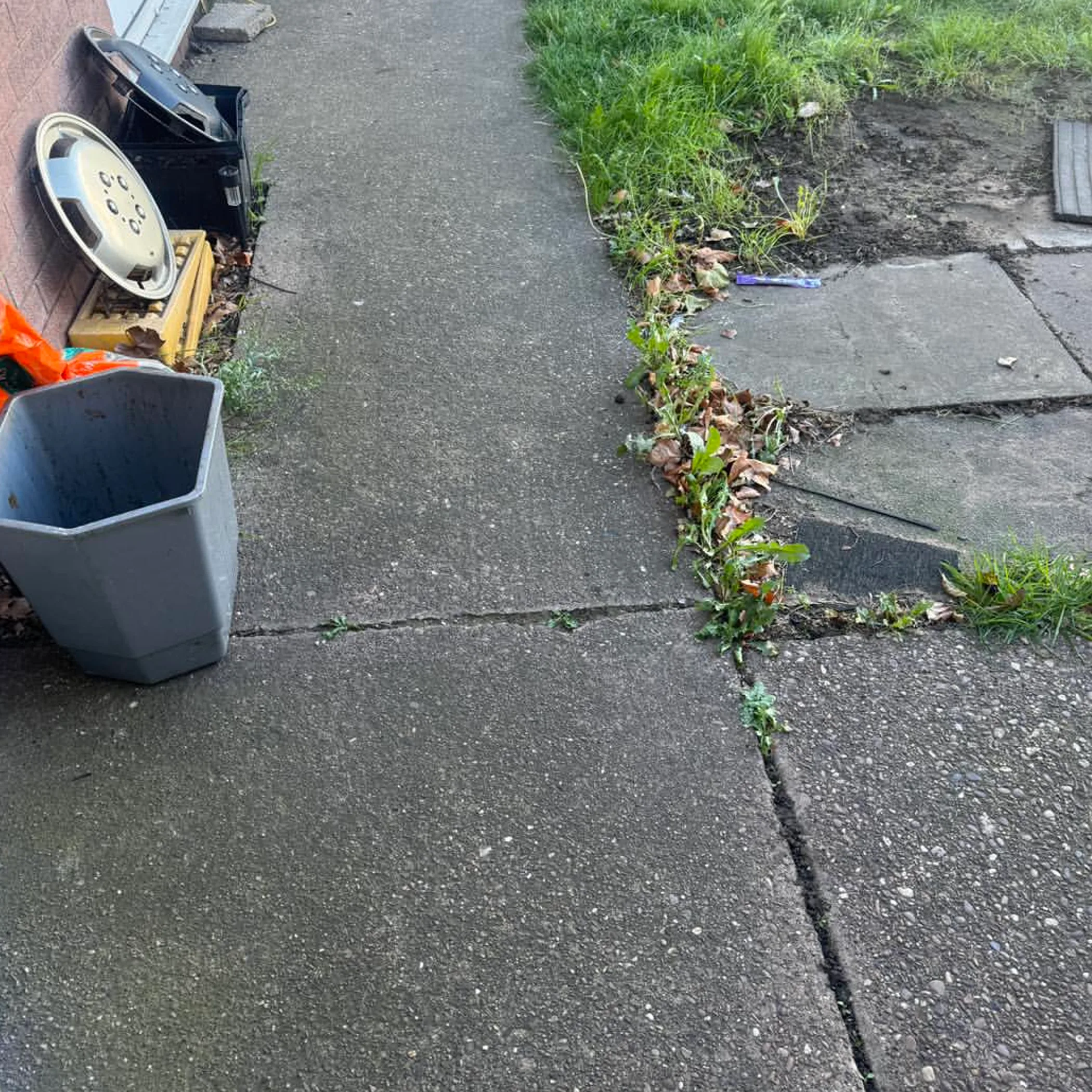 outdoor concrete surfaces and backyard maintenance