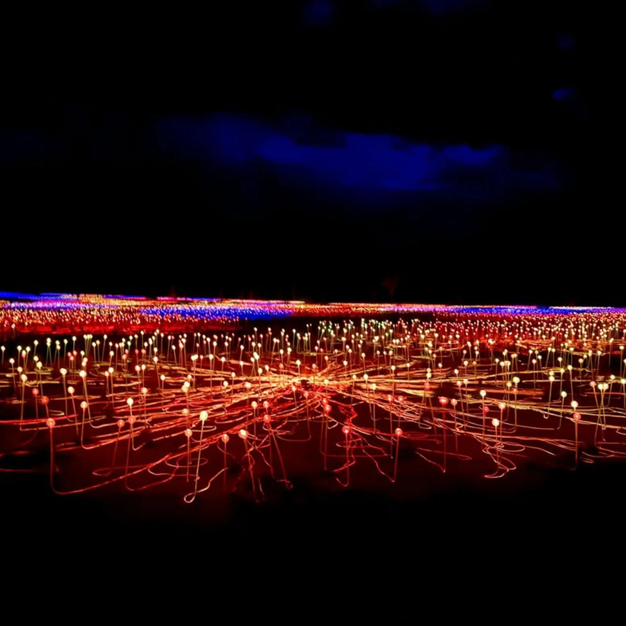 field of lights near uluru