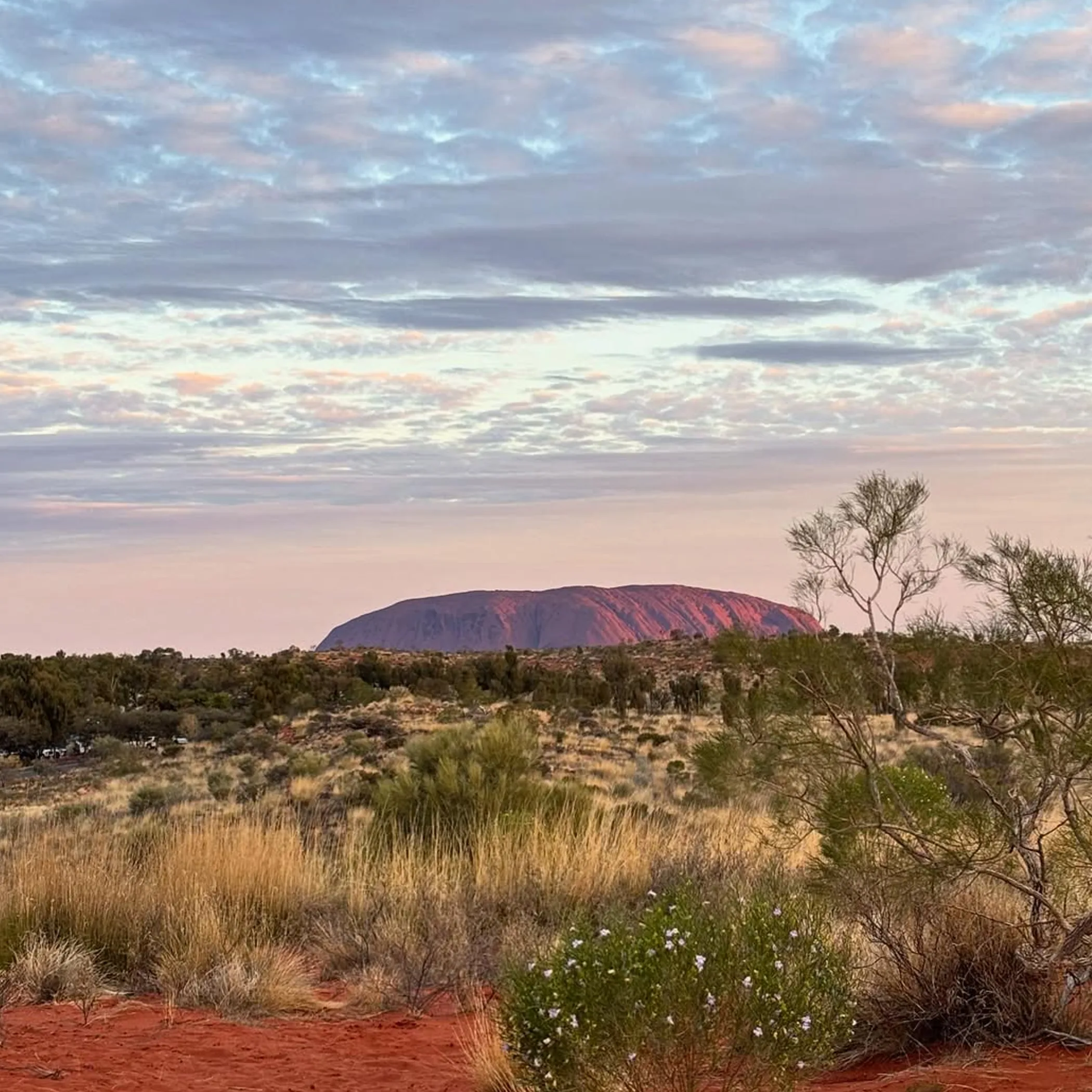 uluru and red centre landscape