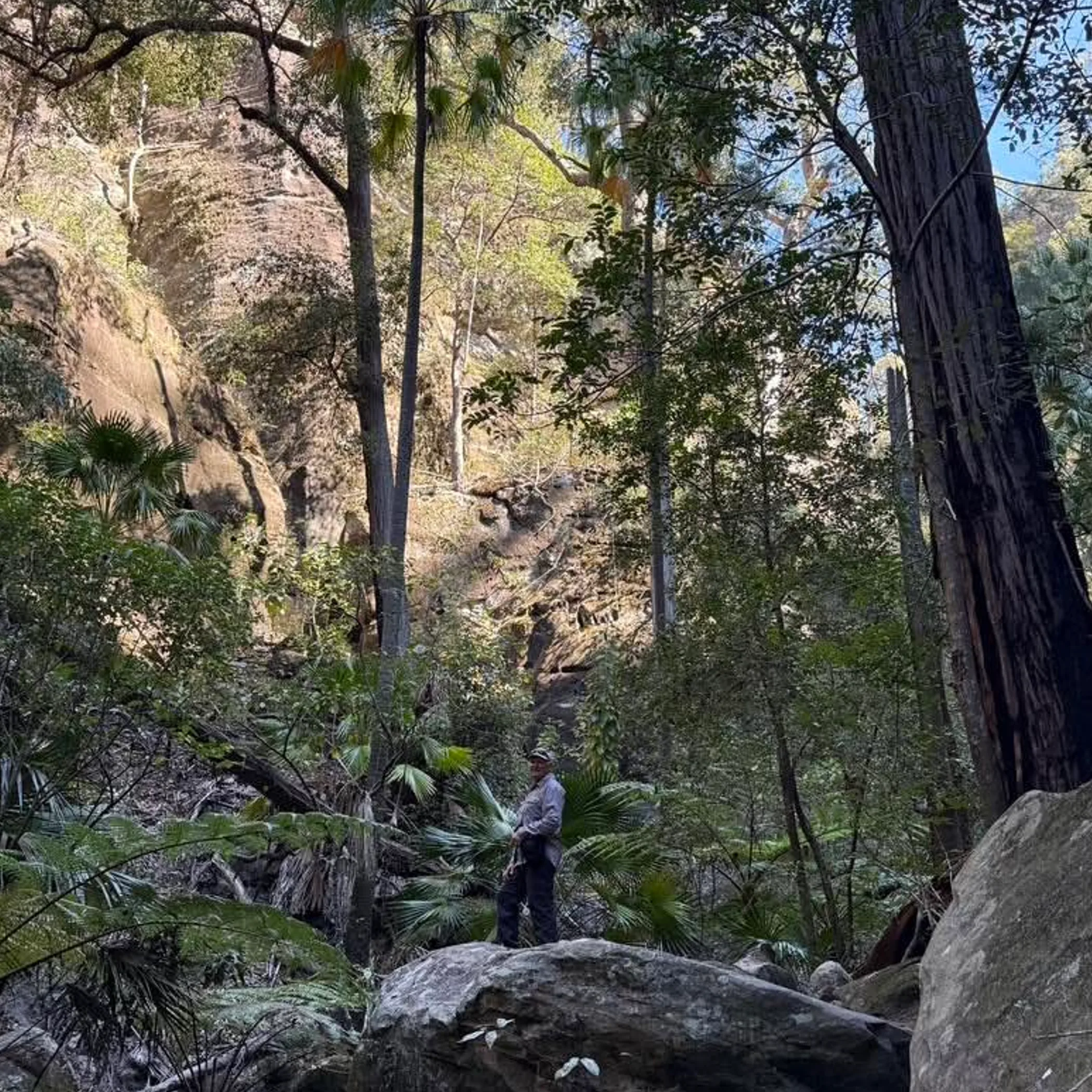 hiker on rugged gorge trail